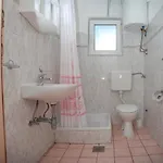 Apartman Kraj, Tratica *